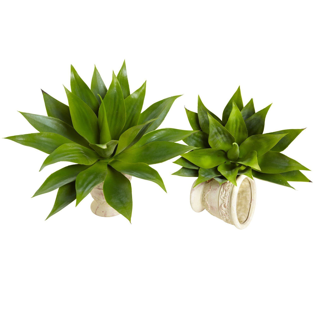 agave sukkulent Nearly Natural Agave Succulent Plant (Set of 2), Green