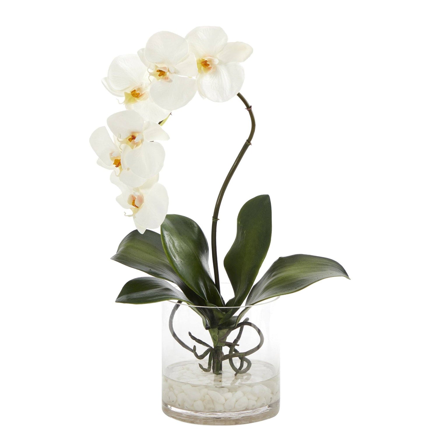 17” Phalaenopsis Orchid Artificial Arrangement in Glass Vase