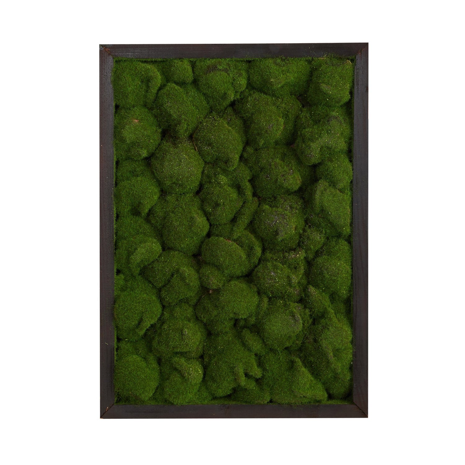 17” X 24” Artificial Moss Hanging Frame