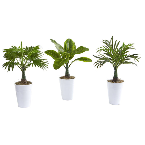 18” Assorted Mini Palm and Banana Artificial Plant in White Planter (Set of 3)