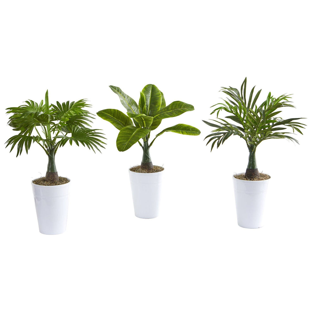 mini banana plant indoor 18” Assorted Mini Palm and Banana Artificial Plant in White Planter (Set of  3)
