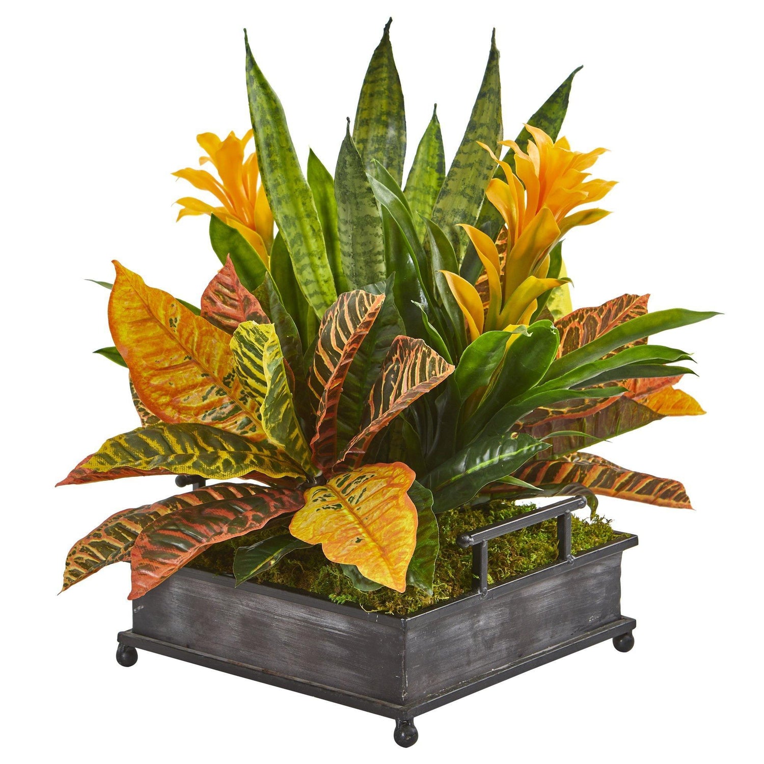 18” Bromeliad, Croton and Sansevieria Artificial Plant in Decorative Tray