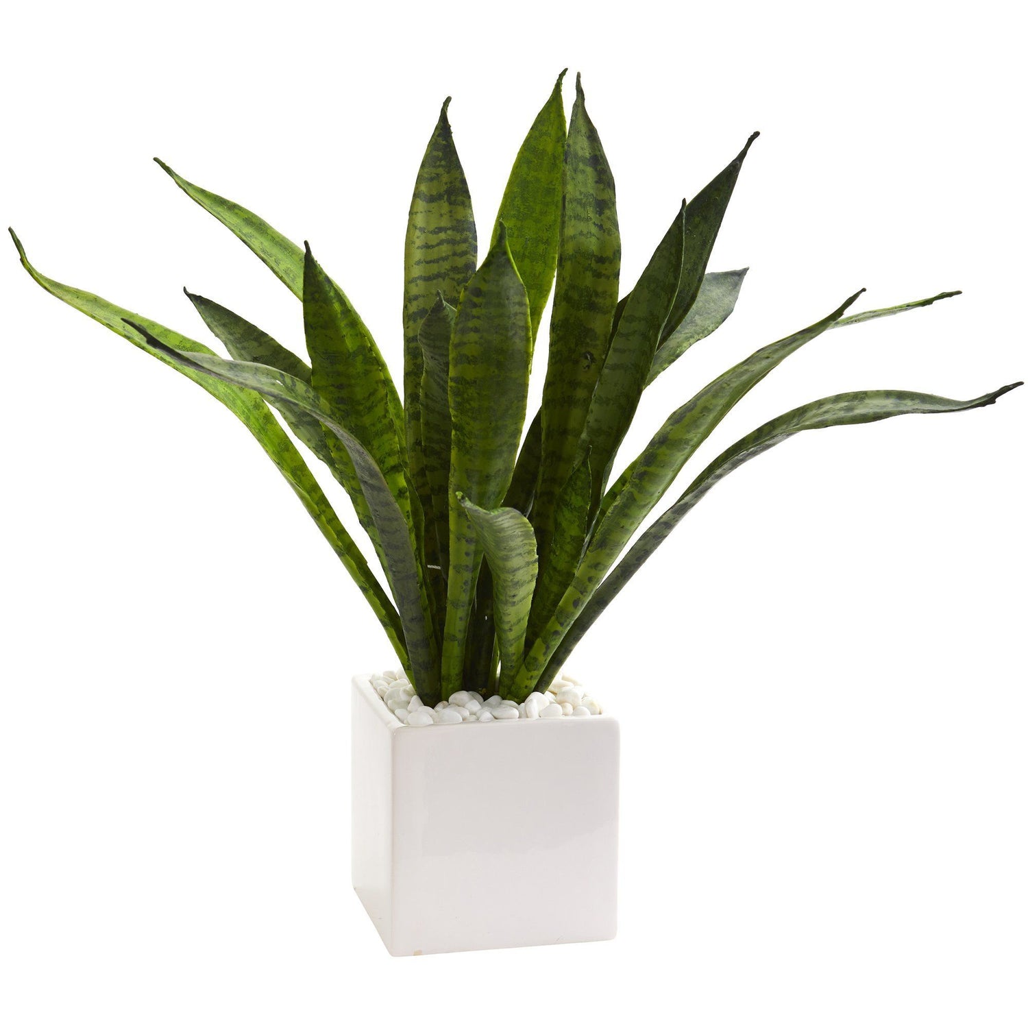 rocks in snake plant pots 18” Sansevieria Artificial Plant in White Planter w/ River Rocks