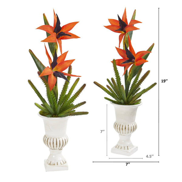 19” Bird of Paradise and Cactus Artificial Arrangement in White Urn (Set of 2)
