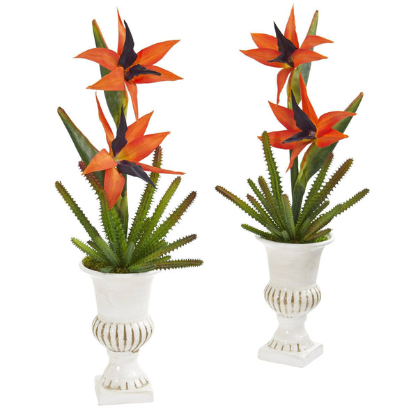 19” Bird of Paradise and Cactus Artificial Arrangement in White Urn (Set of 2)