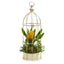 19” Bromeliad & Succulent Artificial Arrangement in Bird Cage