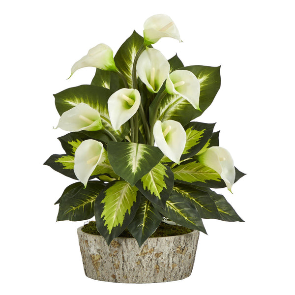 19” Calla Lily and Golden Dieffenbachia Artificial Plant in Weathered Oak Planter
