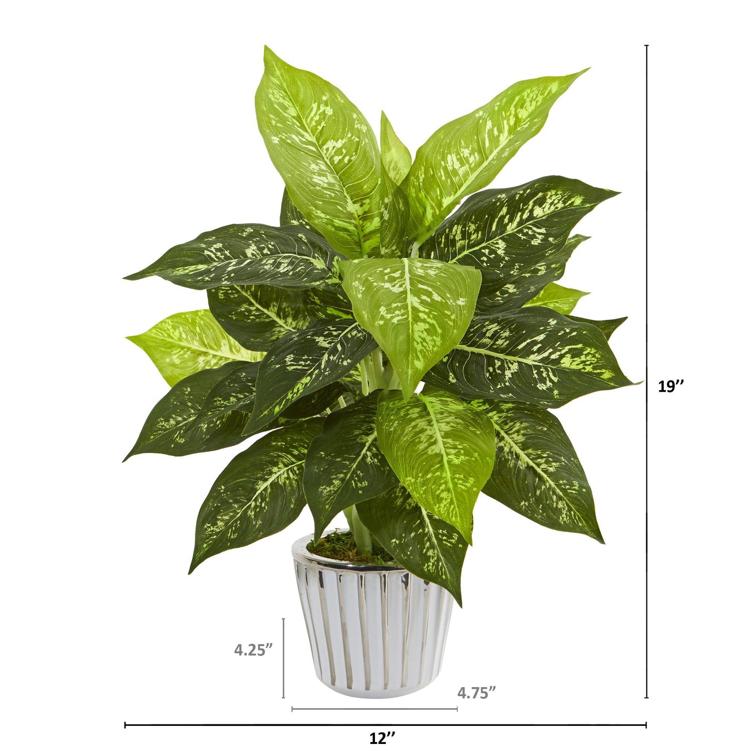 19” Dieffenbachia Artificial Plant in White Vase (Set of 2)