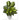 19” Dieffenbachia Artificial Plant in White Vase (Set of 2)