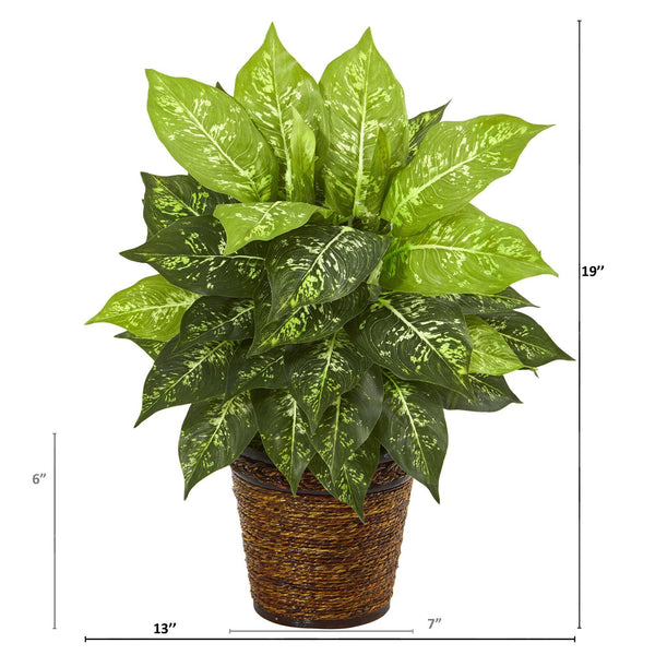 19” Diffenbachia Artificial Plant in Basket