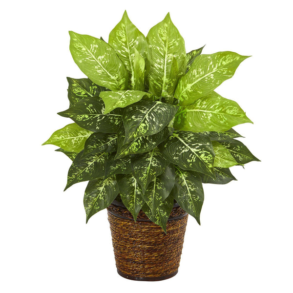 19” Diffenbachia Artificial Plant in Basket