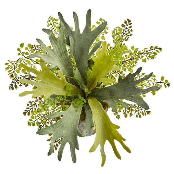 19” Staghorn and Maiden Hair Fern Artificial Plant in Weathered Vase