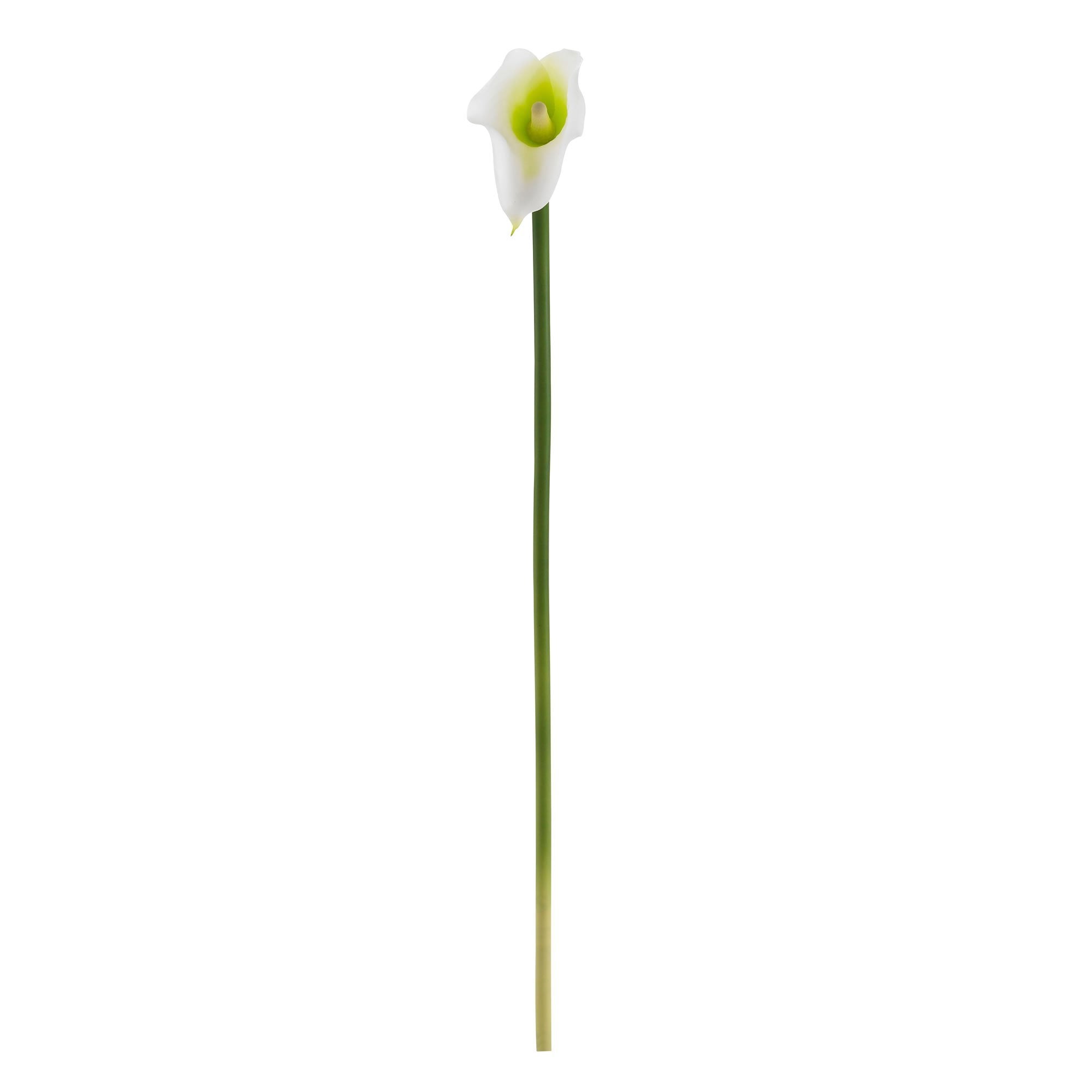 lily　25cm & 20cm おまとめ　5月10日以降発送 19.5” Calla Lily Artificial Flower (Set of 12) 2113-S12 Nearly Natural