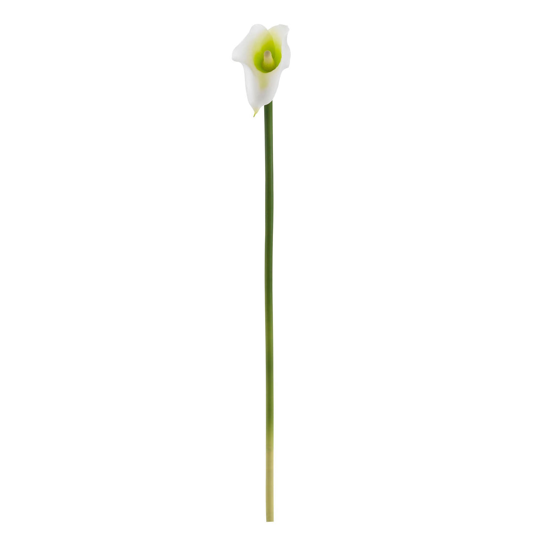 artificial white calla lilies 19.5” Calla Lily Artificial Flower (Set of 12) 2113-S12 Nearly Natural