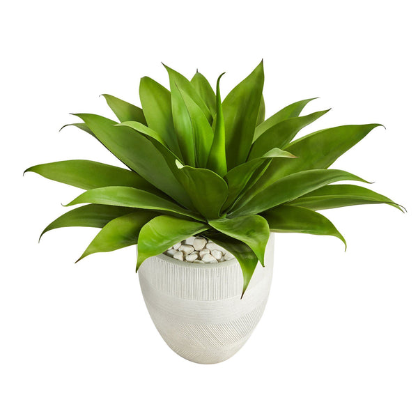 2’ Agave Succulent Artificial Plant in White Planter