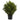 2’ Artificial Cedar Bush (Indoor/Outdoor)