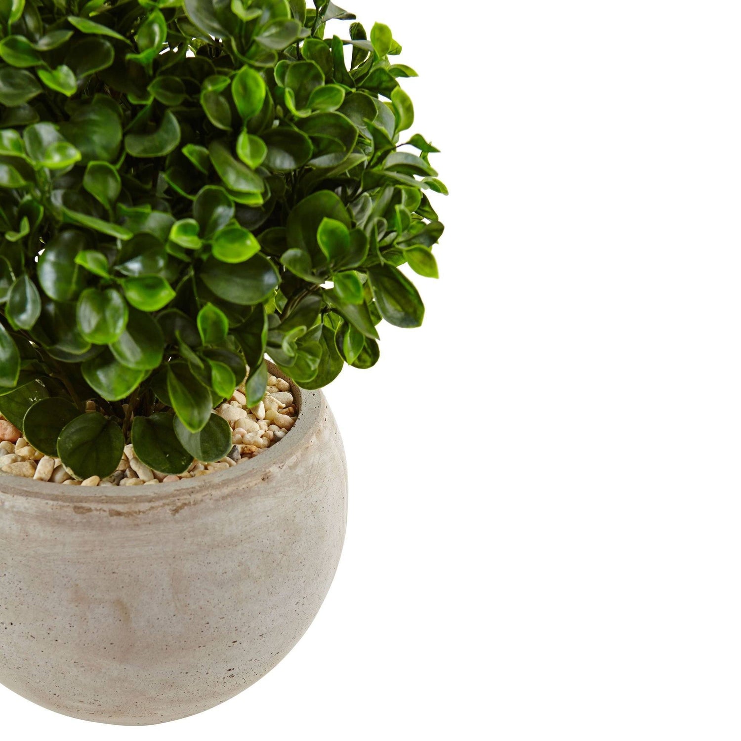 2’ Eucalyptus in Sand Colored Bowl UV Resistant (Indoor/Outdoor)