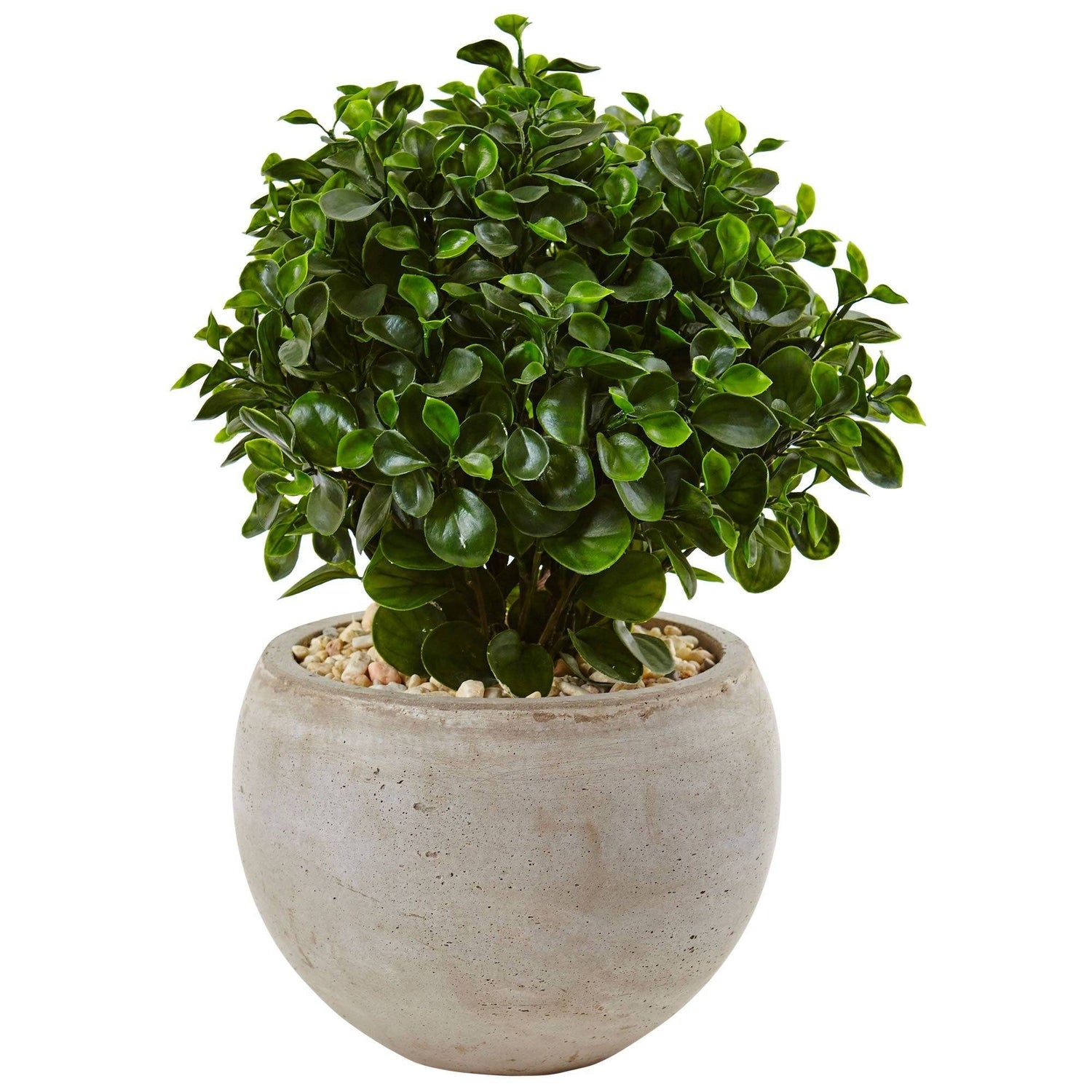2’ Eucalyptus in Sand Colored Bowl UV Resistant (Indoor/Outdoor)
