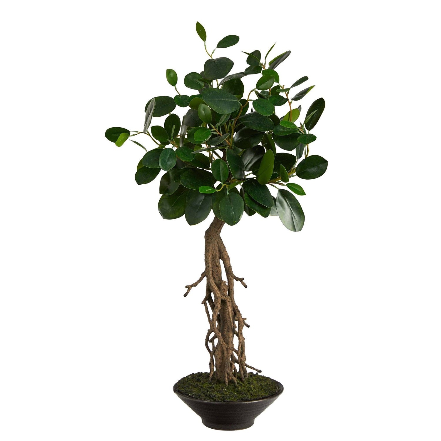 2’ Ficus Bonsai Artificial Tree in Decorative Planter