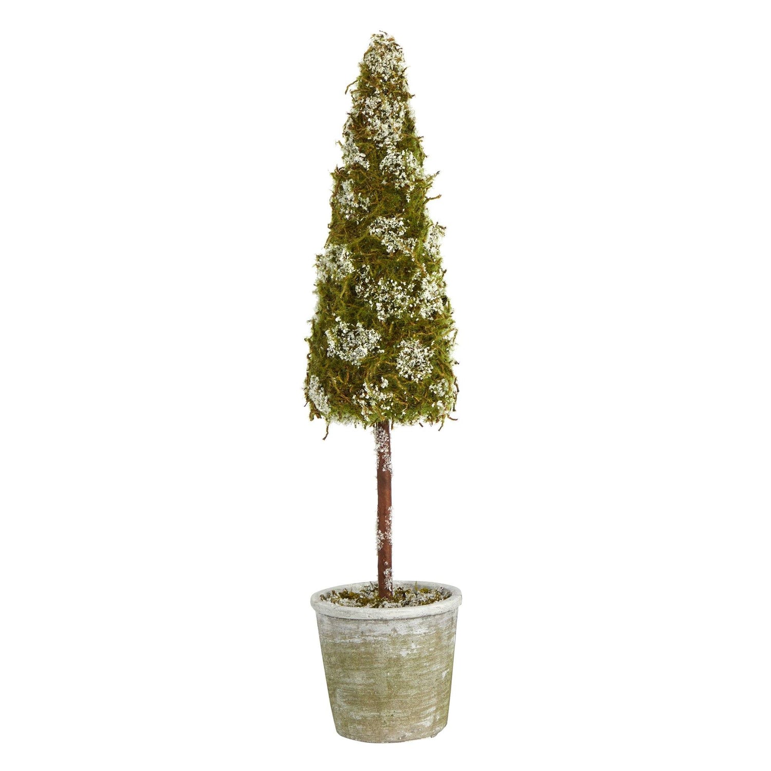 2’ Flocked Moss Artificial Christmas Tree in Decorative Planter