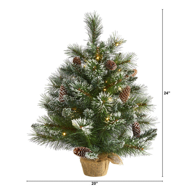 2’ Frosted Pine Artificial Christmas Tree with 35 Clear LED Lights, Pinecones and Burlap Base