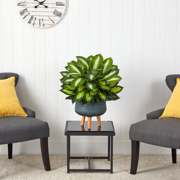 2’ Golden Dieffenbachia Artificial Plant in Black Planter with Stand