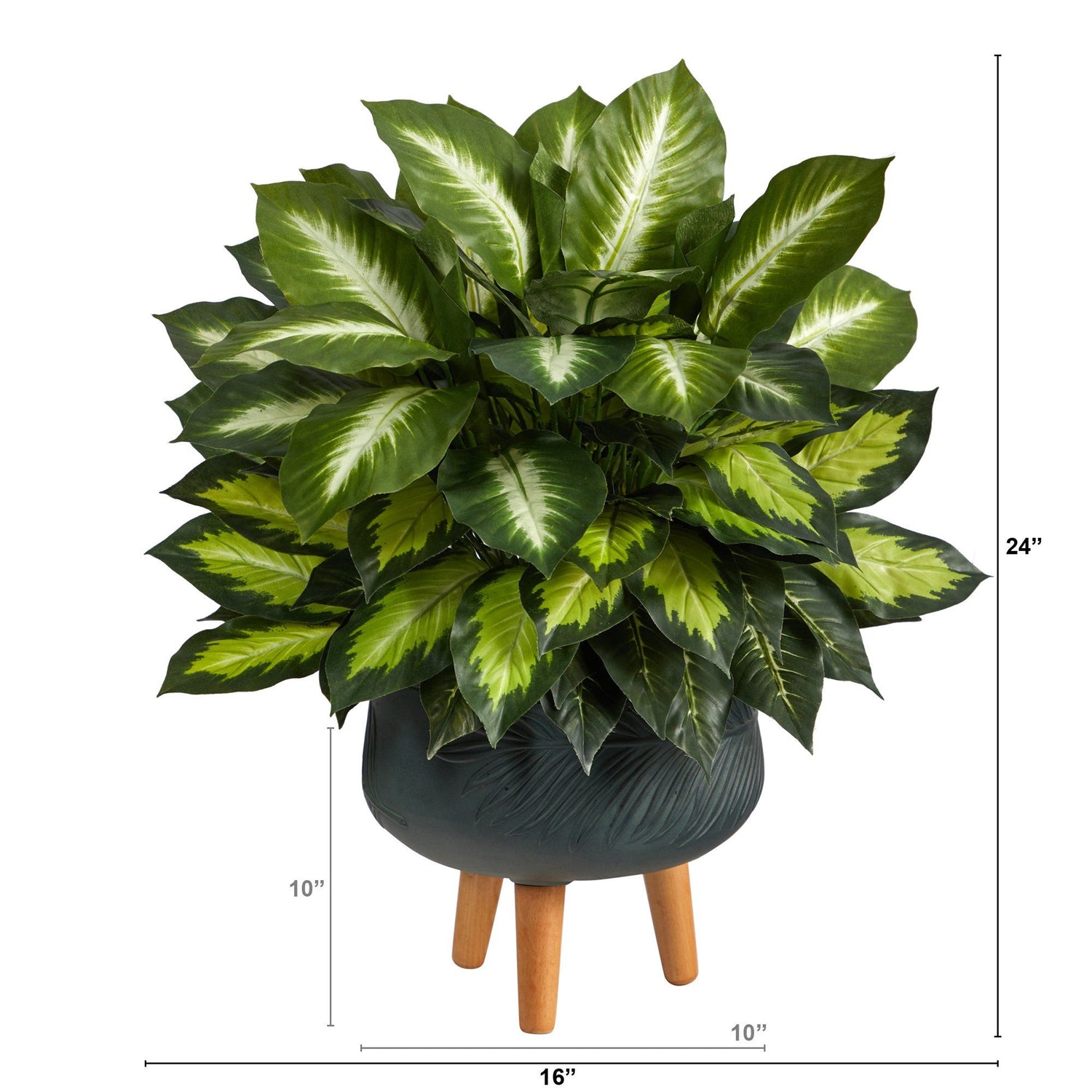2’ Golden Dieffenbachia Artificial Plant in Black Planter with Stand