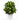 2’ Golden Dieffenbachia Artificial Plant in White Metal Planter