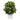 2’ Golden Dieffenbachia Artificial Plant in White Metal Planter