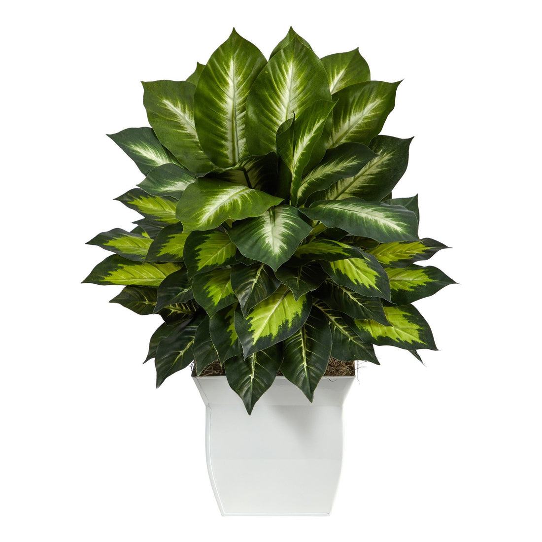 dieffenbachia pets 2’ Golden Dieffenbachia Artificial Plant in White Metal Planter