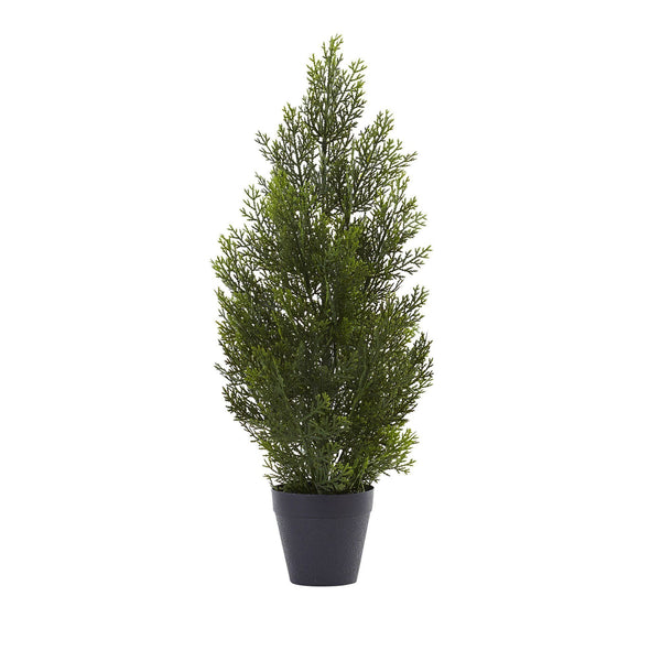 2’ Mini Cedar Pine Tree (Indoor/Outdoor)