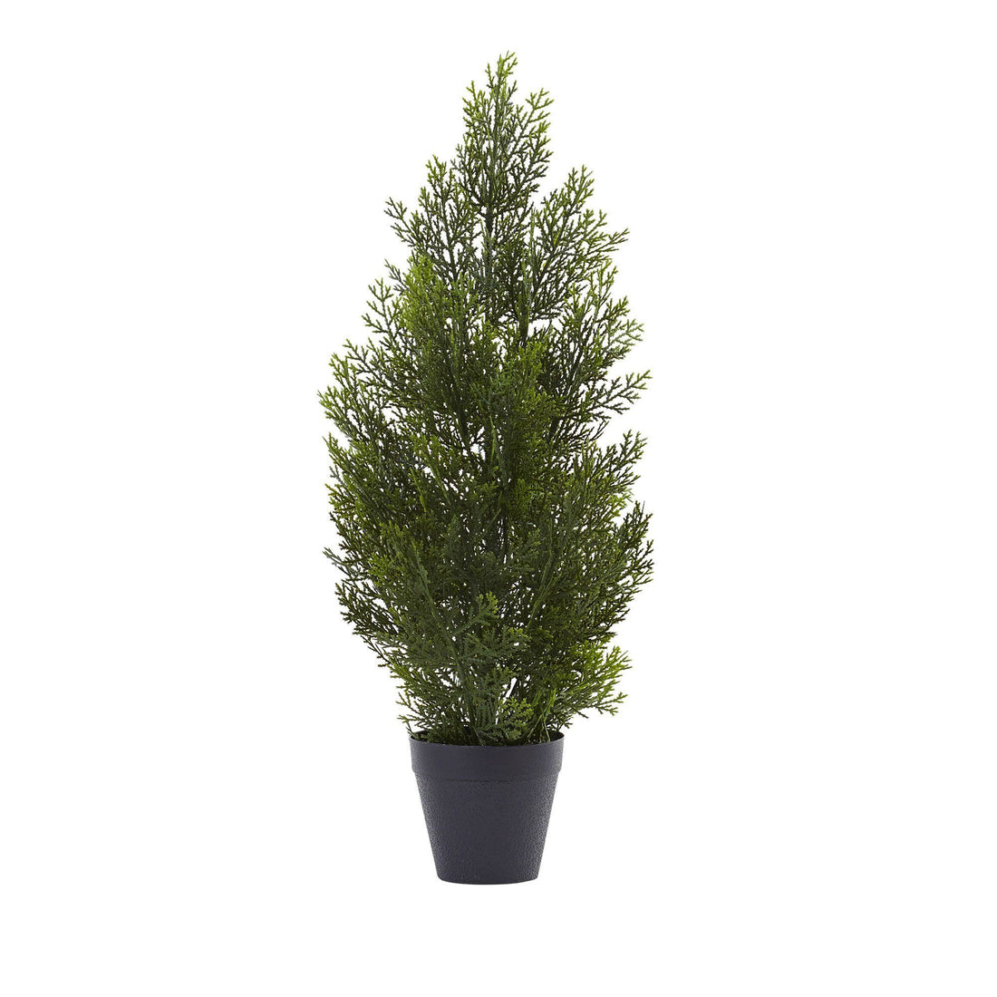 house plant that looks like pine tree Nearly Natural 2-ft Mini Cedar Pine Tree (Indoor/Outdoor)