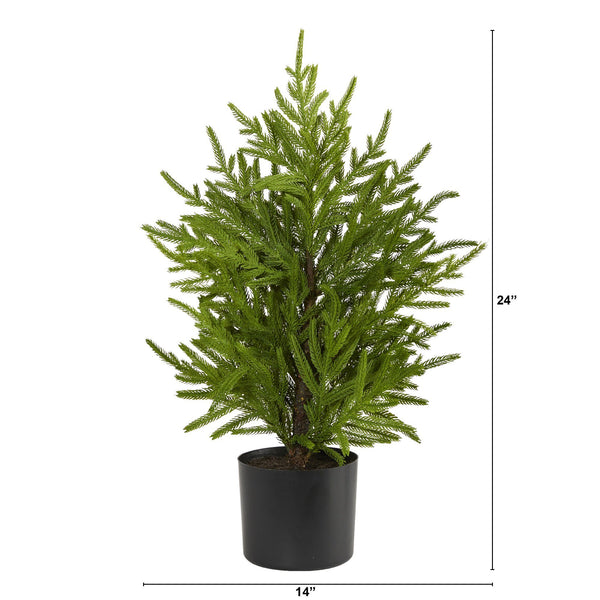 2’ Norfolk Island Pine “Natural Look” Artificial Christmas Tree in Decorative Planter