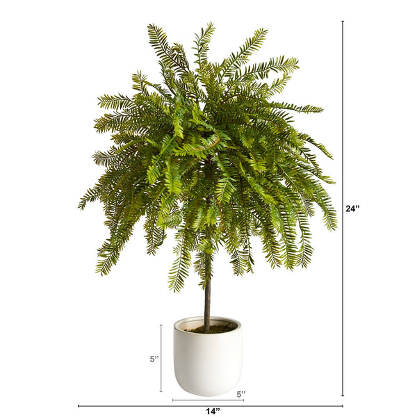 2' Northern Californian Cedar Canopy Artificial Tree in Decorative Planter