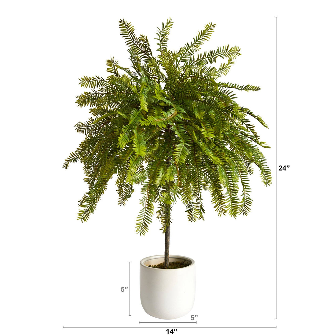 house plant canopy 2' Northern Californian Cedar Canopy Artificial Tree in Decorative Planter