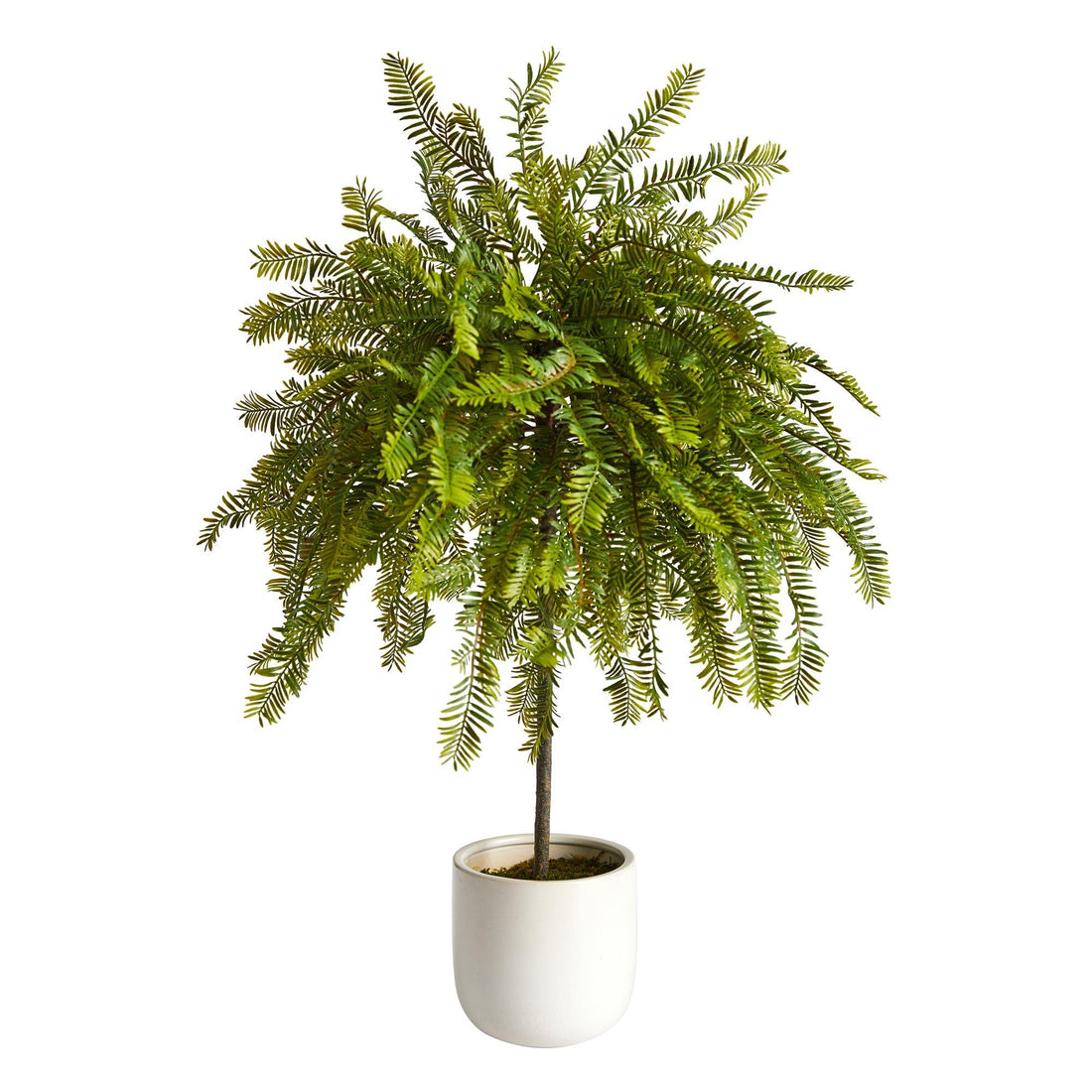 indoor plant canopy 2' Northern Californian Cedar Canopy Artificial Tree in Decorative Planter
