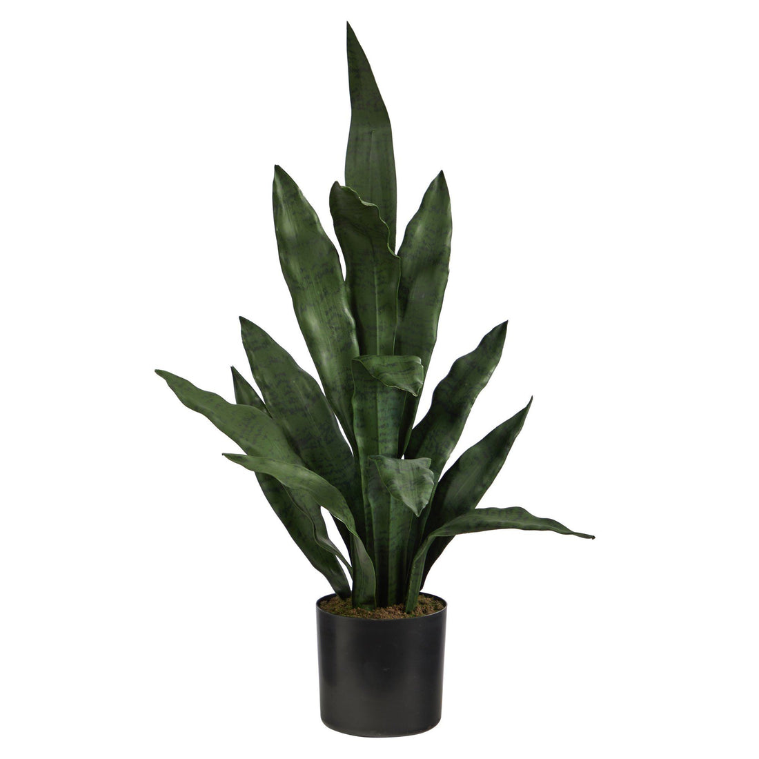 large faux snake plant 2' Sansevieria Artificial Plant