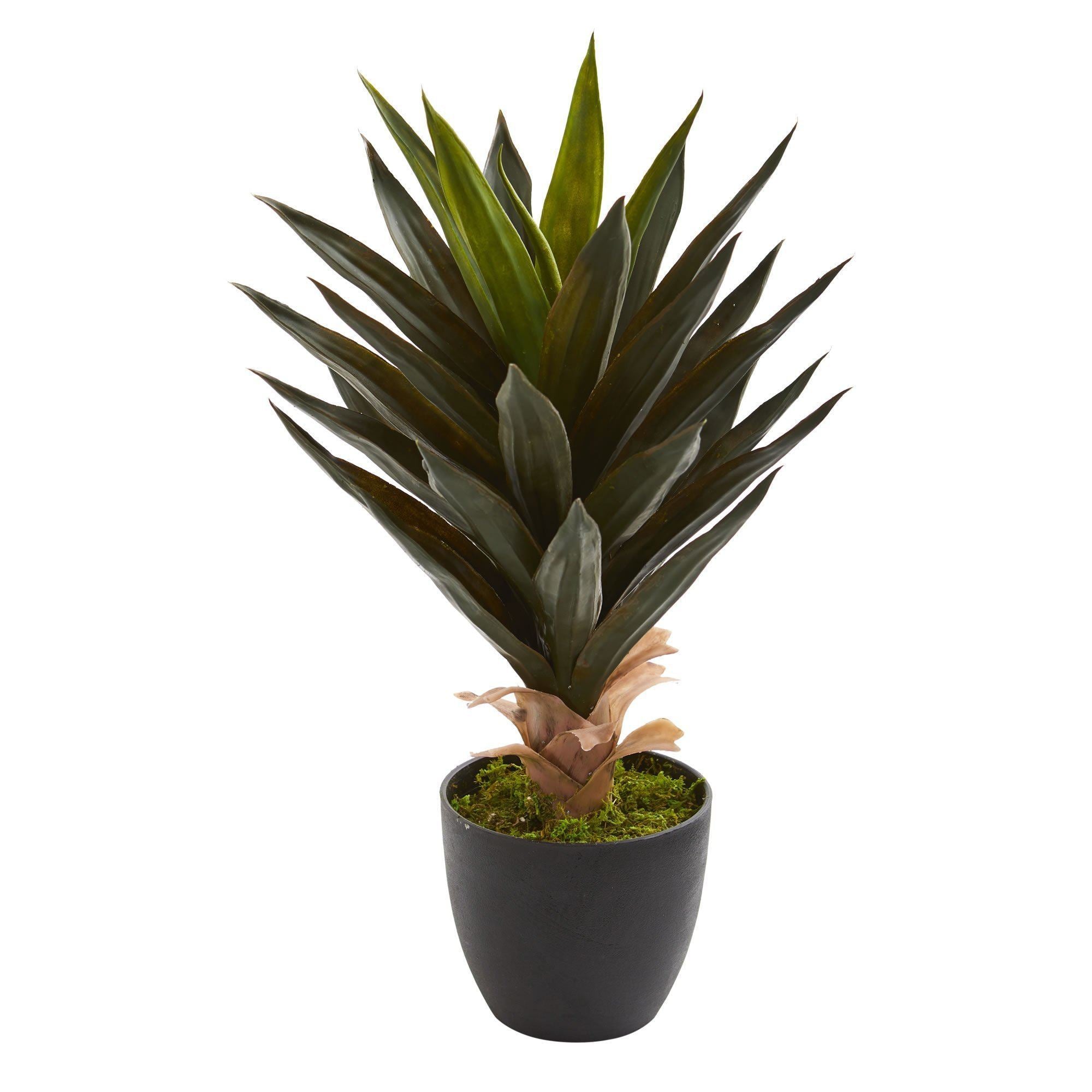 Agave Artificial Plant (Set of 2) Nearly Natural