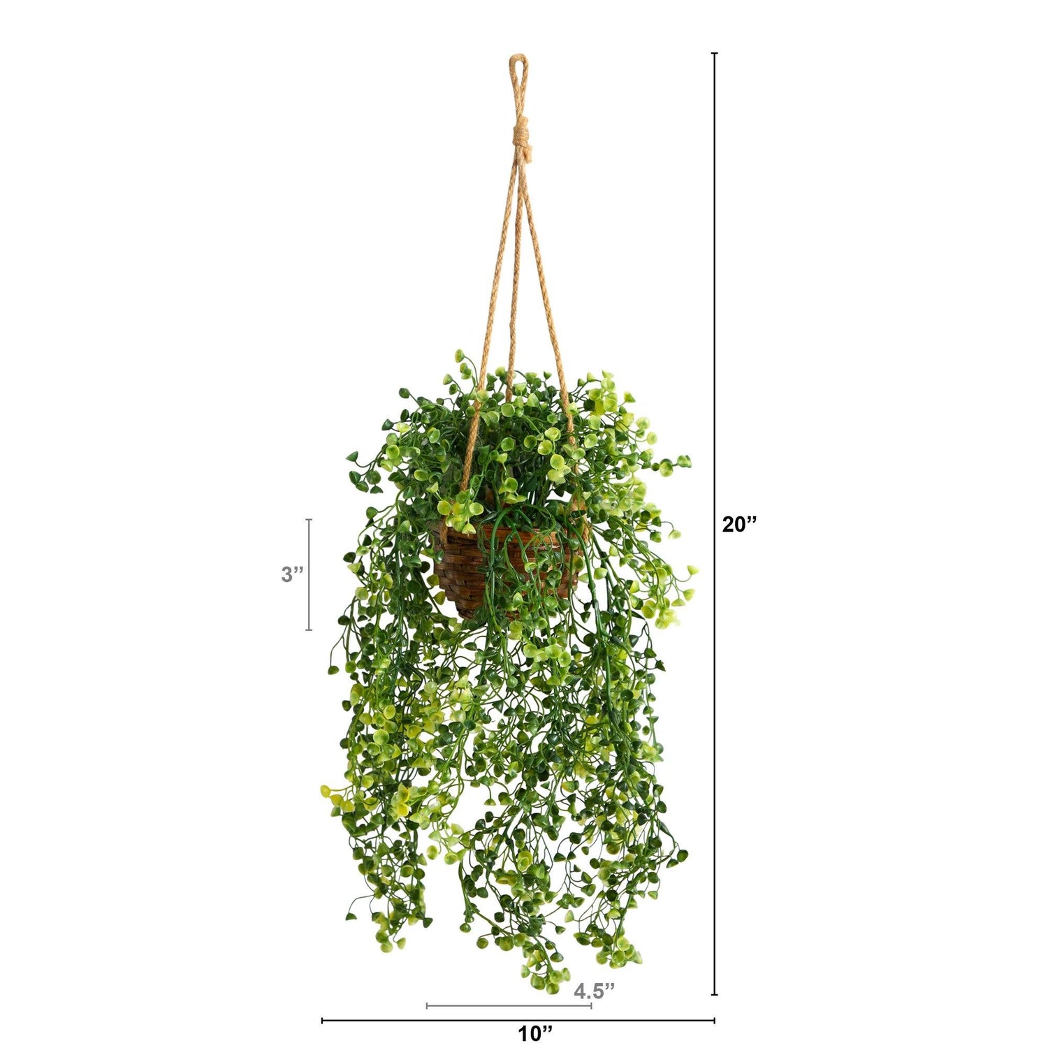 20” Baby Tear Artificial Plant in Hanging Basket