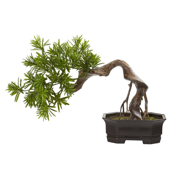 20” Bonsai Styled Podocarpus Artificial Plant
