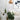20'' Cedar Pine “Natural Look” Artificial Christmas Tree