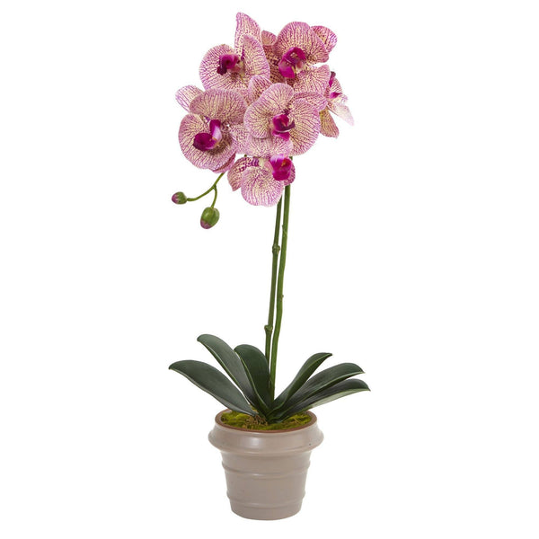 20” Designer Phalaenopsis Orchid Artificial Arrangement