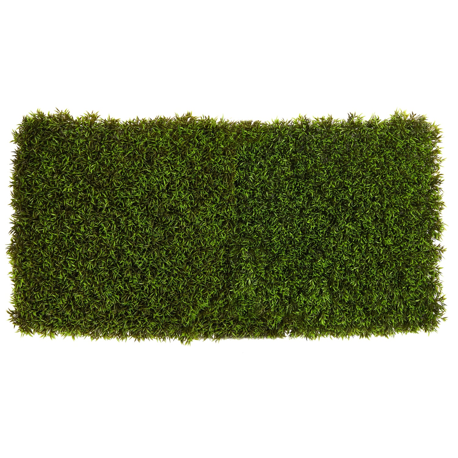 20” Mini Pordocarpus Artificial Wall Mat (Indoor/Outdoor) (Set of 2)