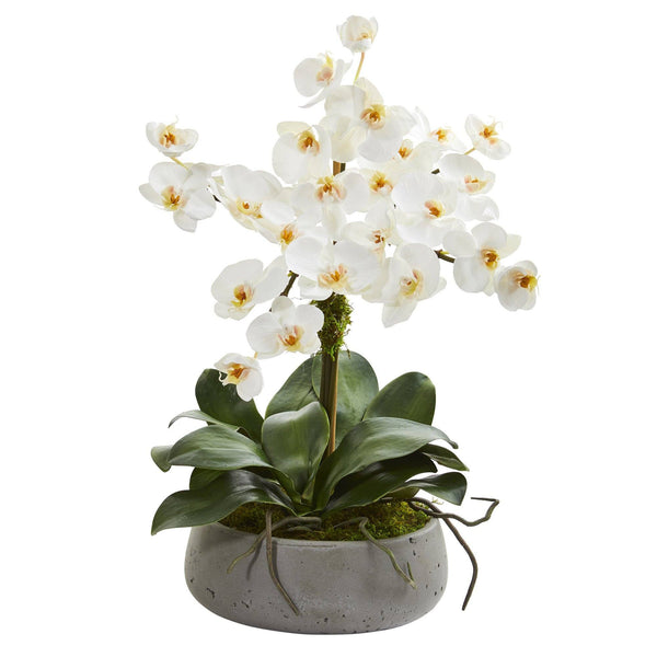 20” Phalaenopsis Orchid Artificial Arrangement in Gray Vase