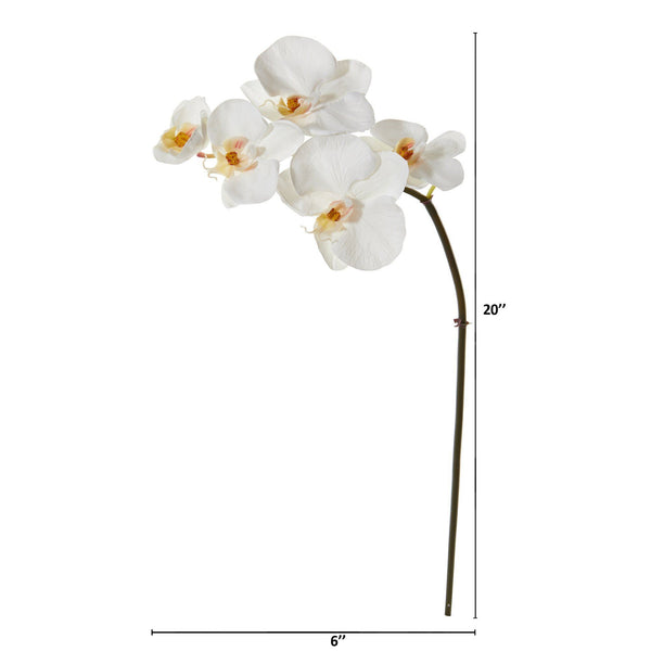 20” Phalaenopsis Orchid Artificial Flower (Set of 12)