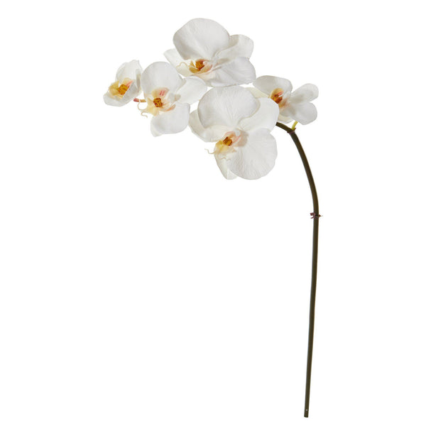 20” Phalaenopsis Orchid Artificial Flower (Set of 12)