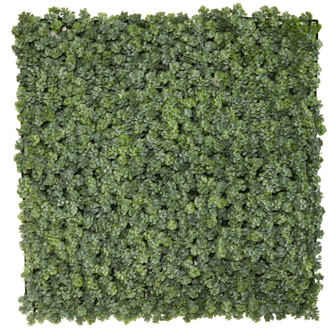 succulent mat 20” Succulent Artificial Wall Mat (Indoor/Outdoor) (Set of 2)