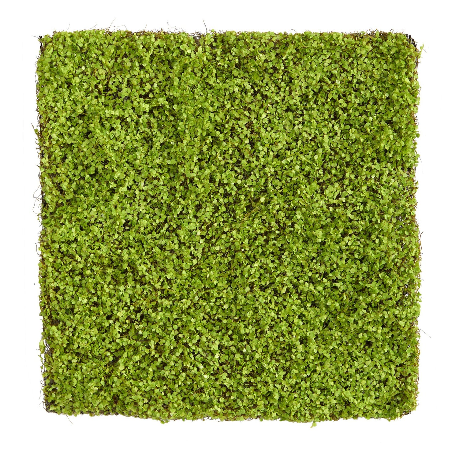 20” X 20” Duckweed Artificial Wall Mat