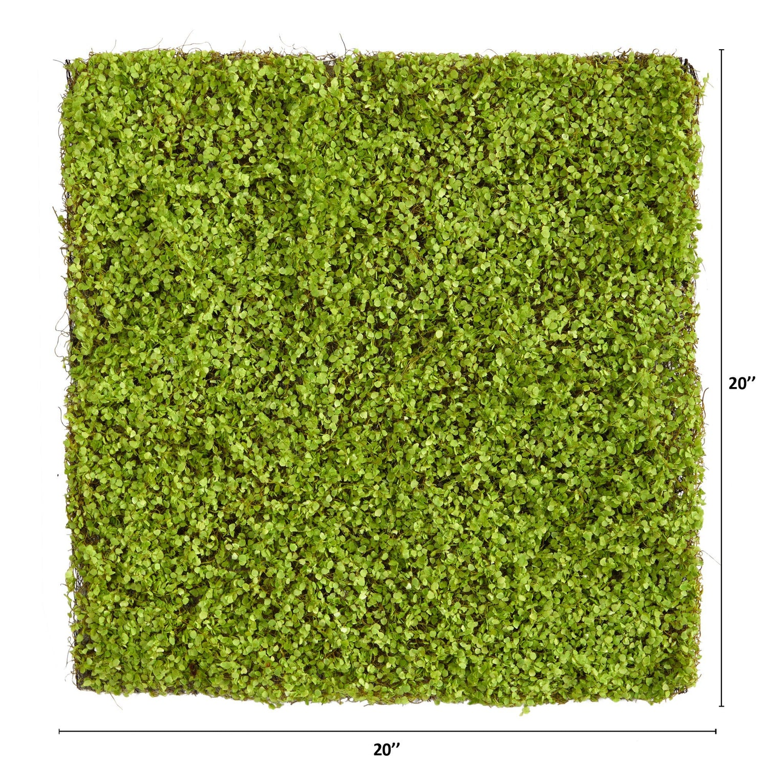 20” X 20” Duckweed Artificial Wall Mat