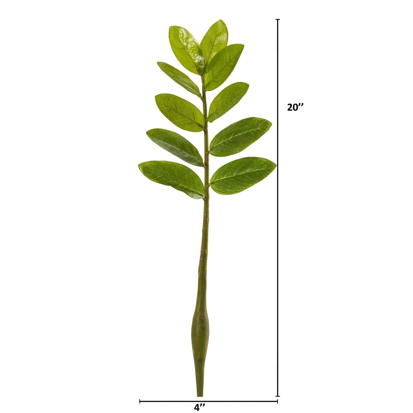 20” Zamioculcas Artificial Flower Stem (Set of 12) Nearly Natural